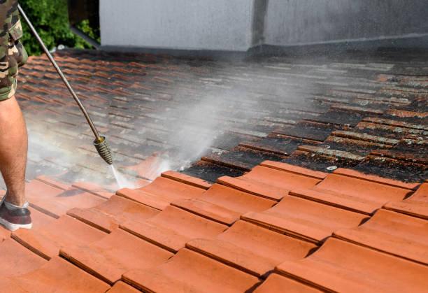 Best Pressure Washing Patio  in Wentzville, MO